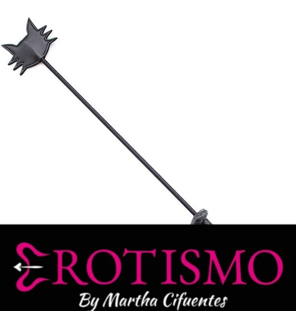 Latigo-Puntero-Gatico-Negro-distrisex-4